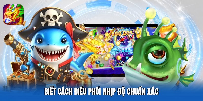 Biết cách điều phối nhịp độ chuẩn xác