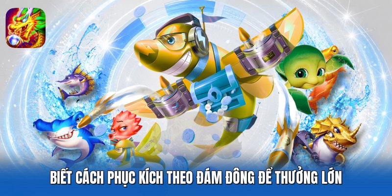 Biết cách phục kích theo đám đông để thưởng lớn