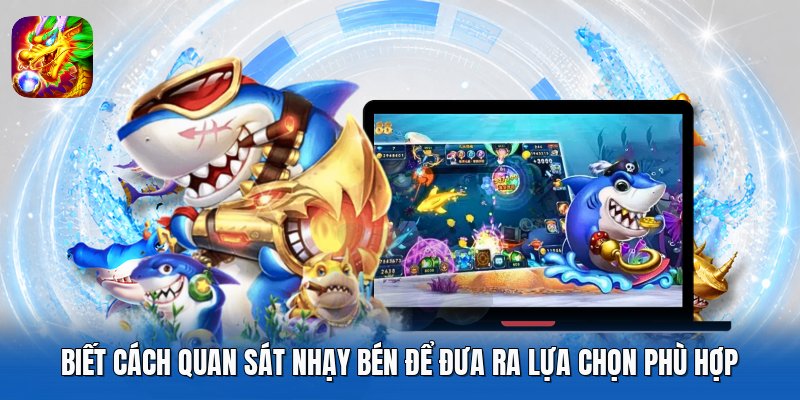 Biết cách quan sát nhạy bén để đưa ra lựa chọn phù hợp