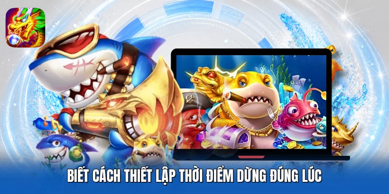 Biết cách thiết lập thời điểm dừng đúng lúc