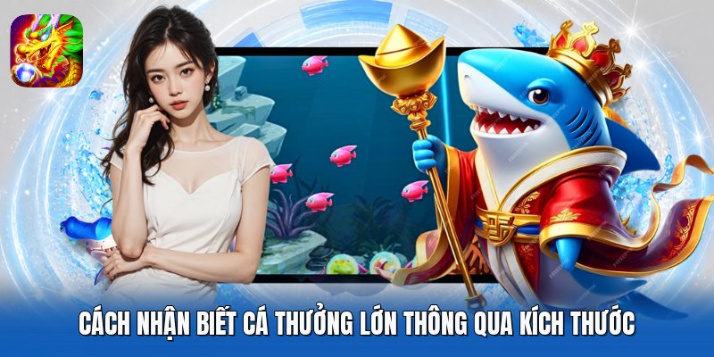 Cách nhận biết cá thưởng lớn thông qua kích thước