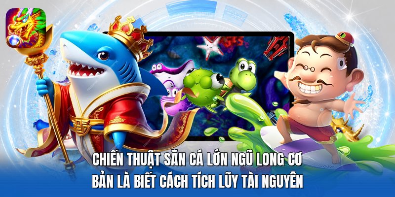 Chiến thuật săn cá lớn ngũ long cơ bản là biết cách tích lũy tài nguyên