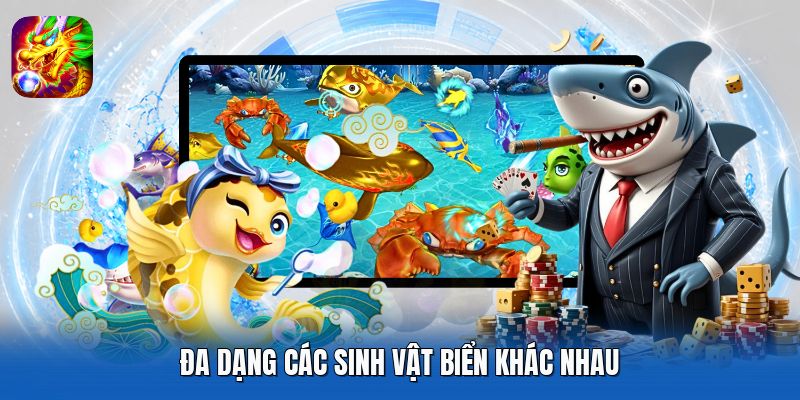 Đa dạng các sinh vật biển khác nhau