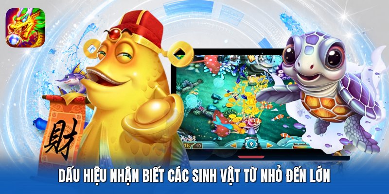 Dấu hiệu nhận biết các sinh vật từ nhỏ đến lớn