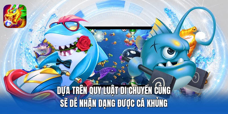 Dựa trên quy luật di chuyển cũng sẽ dễ nhận dạng được cá khủng