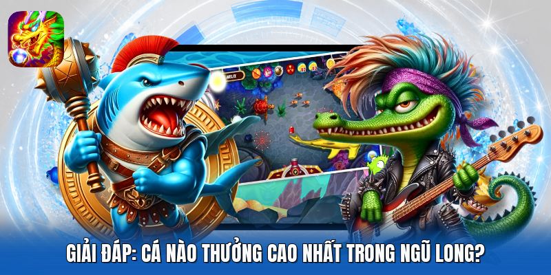 Giải đáp: Cá nào thưởng cao nhất trong ngũ long?