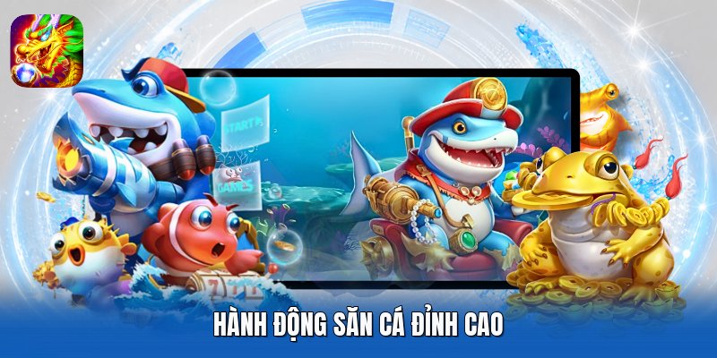 Hành động săn cá đỉnh cao