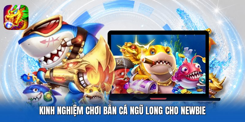 Kinh nghiệm chơi bắn cá Ngũ Long cho newbie