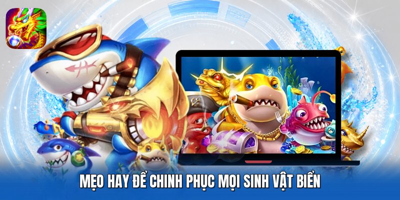 Mẹo hay để chinh phục mọi sinh vật biển