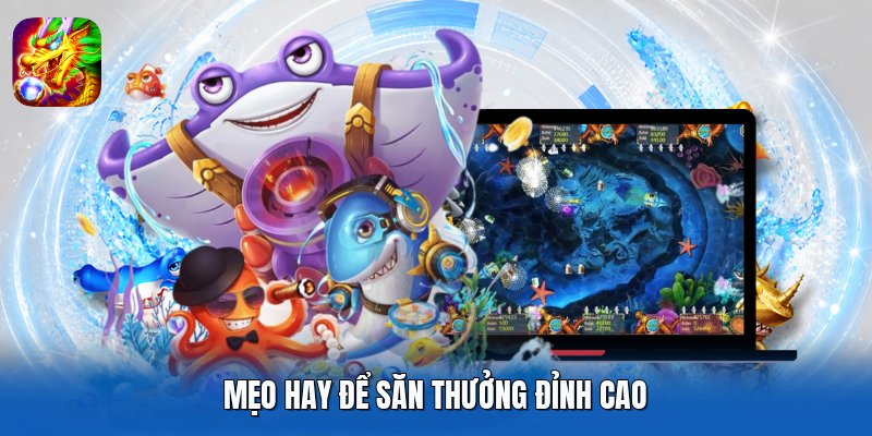 Mẹo hay để săn thưởng đỉnh cao