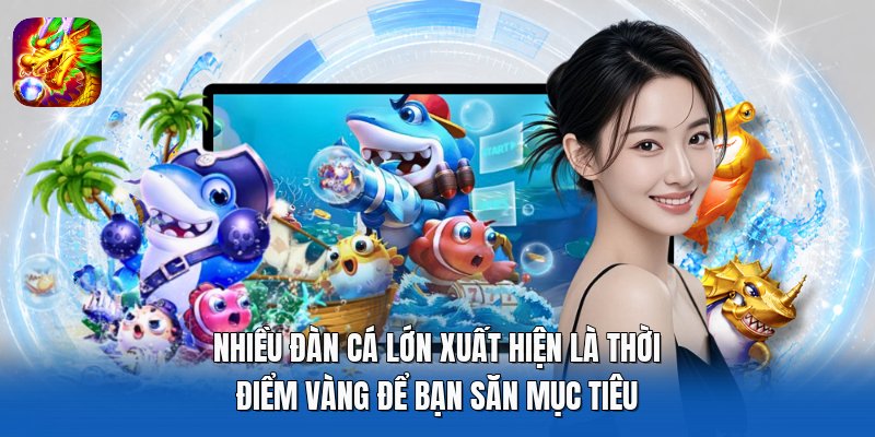 Nhiều đàn cá lớn xuất hiện là thời điểm vàng để bạn săn mục tiêu