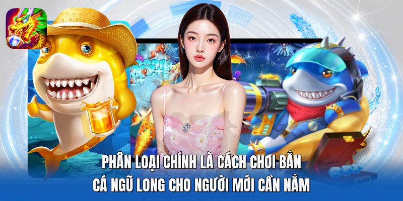 Phân loại chính là cách chơi Bắn Cá Ngũ Long cho người mới cần nắm